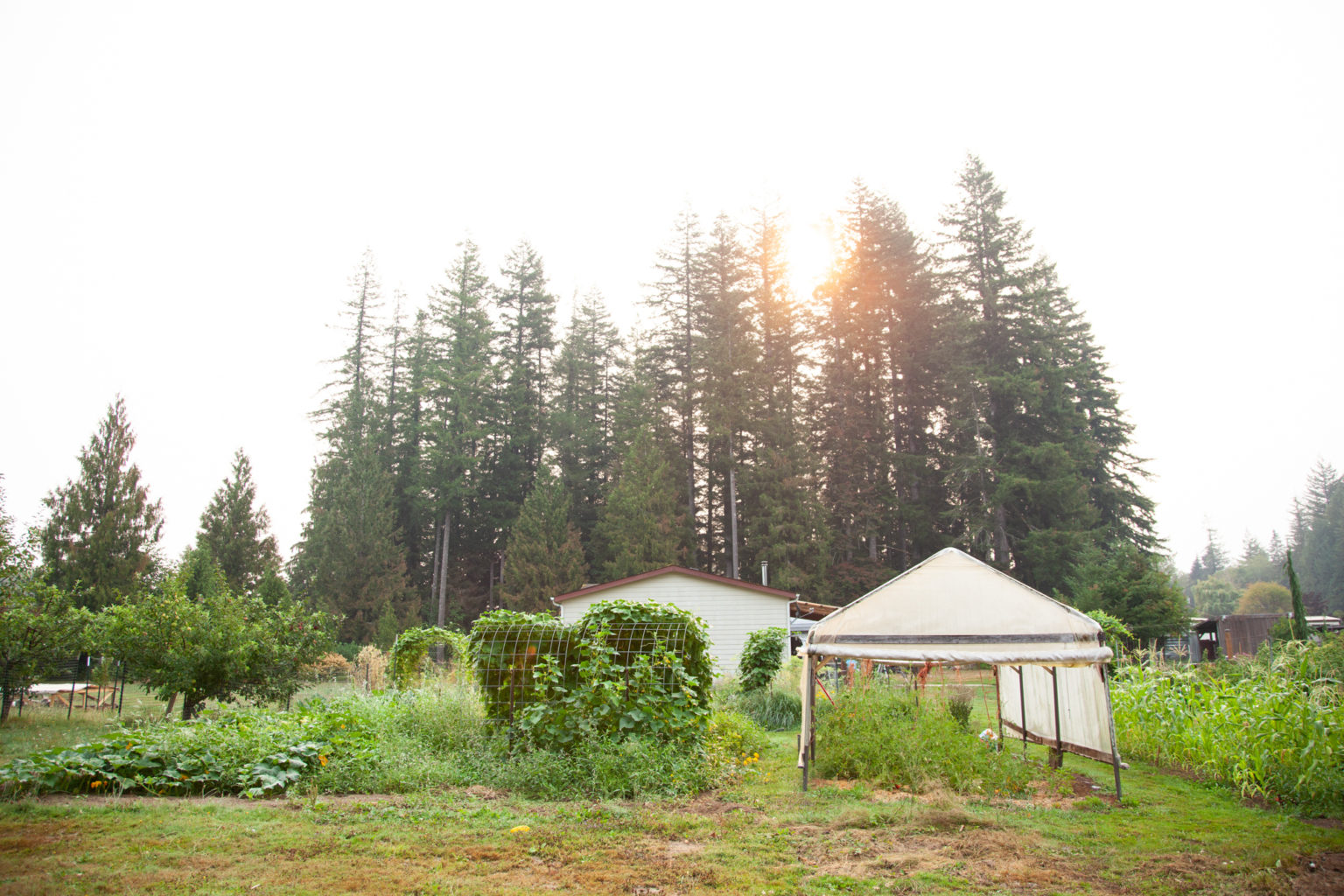 The Modern Homesteading Conference Sadie May Bradford