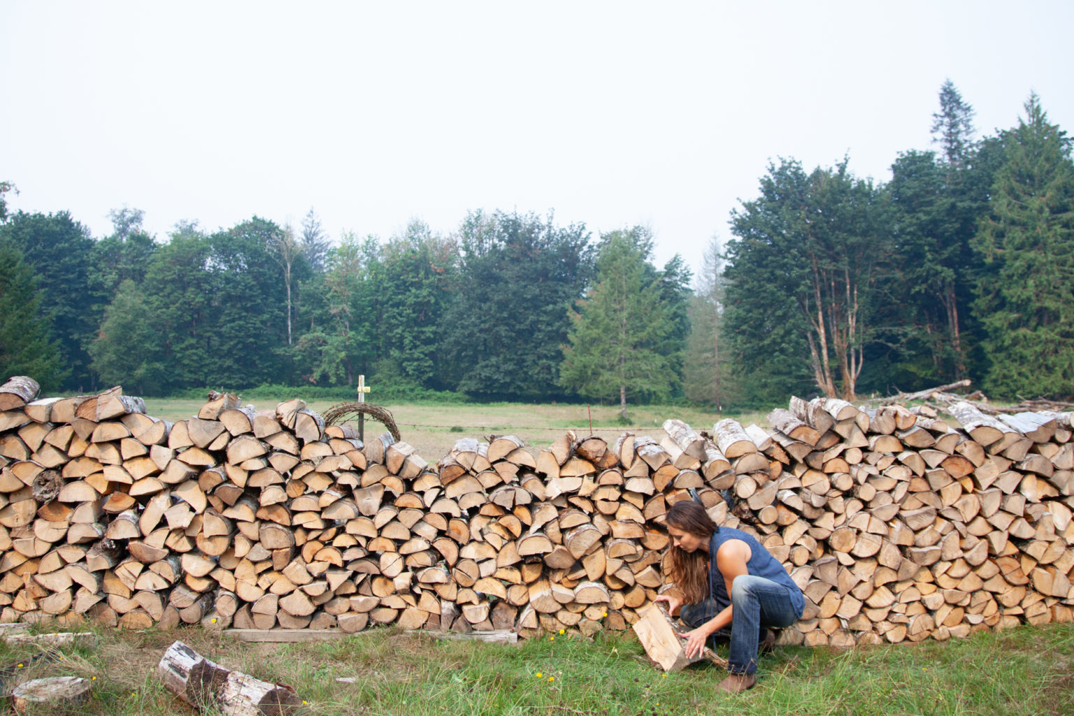 Modern Homesteading